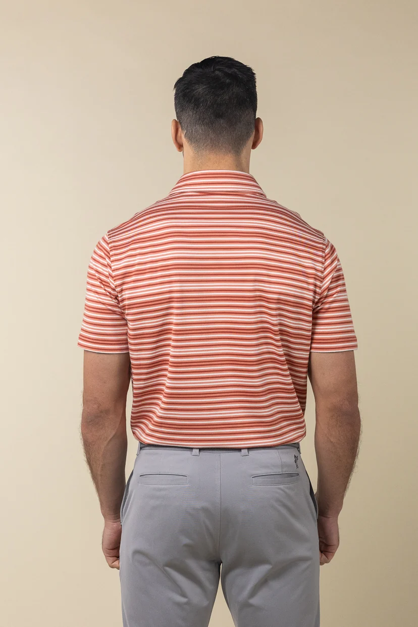 Grandview Polo - Image 5